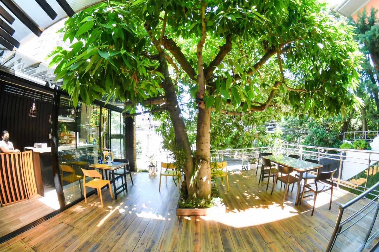 Kaleo Hotel Boutique 圣萨尔瓦多 外观 照片