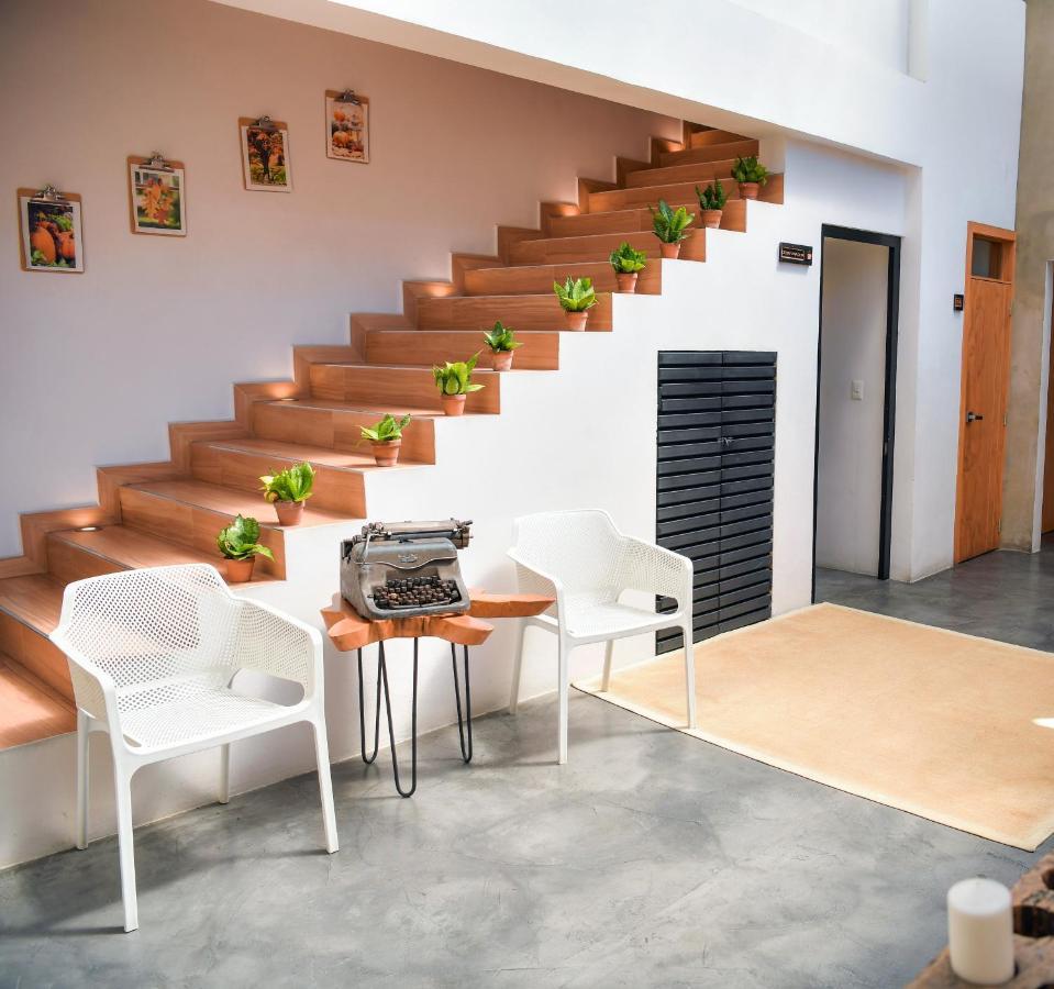 Kaleo Hotel Boutique 圣萨尔瓦多 外观 照片